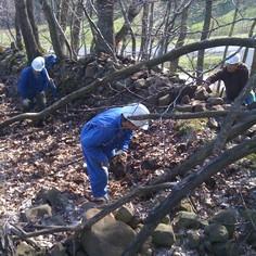 Environmental activities for workforce development in a rural zone of a job disaster area 8649,raw,9IP1259-Meygalit-236.jpg