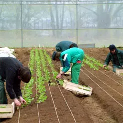 Cultivating solidarity, together 9370,raw,Marcousis-245.jpg