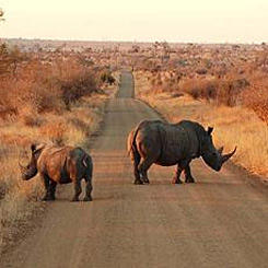 Local populations, players in biodiversity conservation 9385,raw,Sans-titre-1.jpg