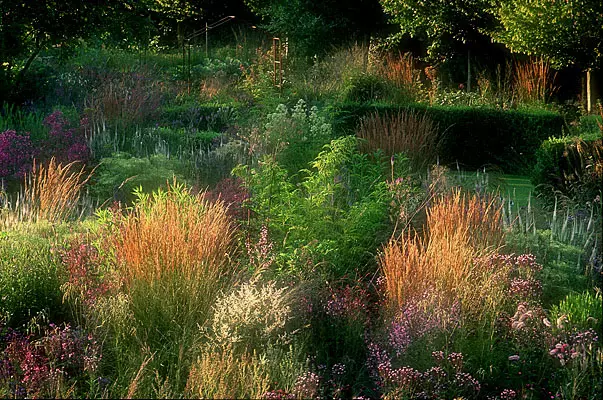 Des jardins solidaires, éducatifs et écologiques 9490,raw,12IP1542-Les-Jardiniers-de-la-Plume.jpg