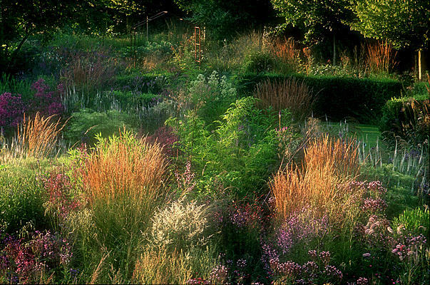 Des jardins solidaires, éducatifs et écologiques 9490,raw,12IP1542-Les-Jardiniers-de-la-Plume.jpg