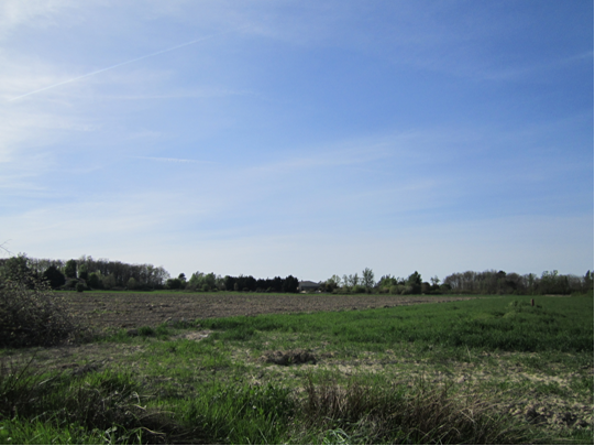 Un jeune jardin d'insertion, prometteur et responsable 9494,raw,12SE1579-Les-jardins-de-Las-Planes.png