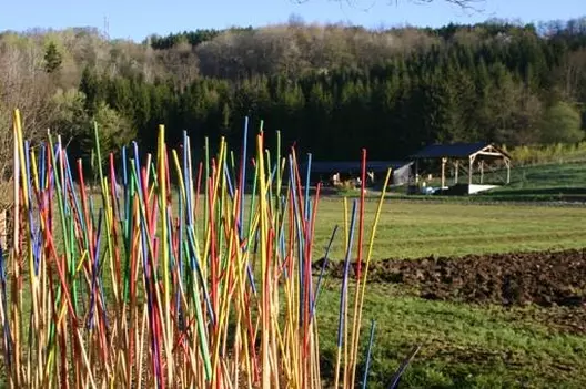 Art and culture for the ESAT educational farm La Ferme de Chosal 9504,raw,AAPEI-D_ANNECY.jpg