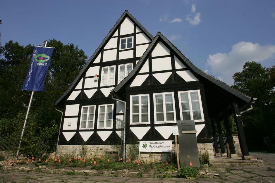 L'association Bürgerschaft Riddagshausen mit Freundeskreis e.V. transforme la maison Entenfang en centre de découverte de la nature 9508,raw,1569_waldforum1.jpg