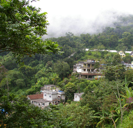 An organic kitchen garden in the heart of the favela 9553,raw,abaquar-paris528.jpg