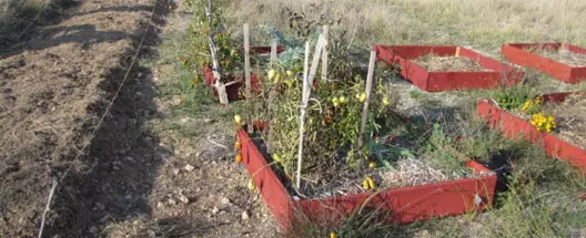Un jardin en partage 9556,raw,jardin528.jpg