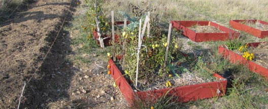 Un jardin en partage 9556,raw,jardin528.jpg