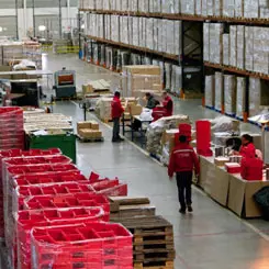 ARES: developing a new activity in logistics and reinforcing back-to-work projects 9613,raw,12SE1602-LOGINS-1_credit-Ce.jpg