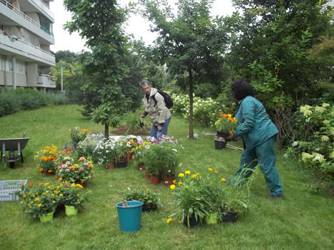 More ecological tools for better trained professionals 9663,raw,HALAGE-projet.jpg