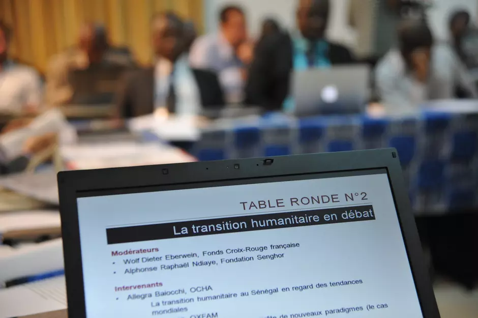Repenser l'humanitaire pour une aide plus efficace 9865,raw,Fonds-Croix-Rouge-francaise-_1_.JPG