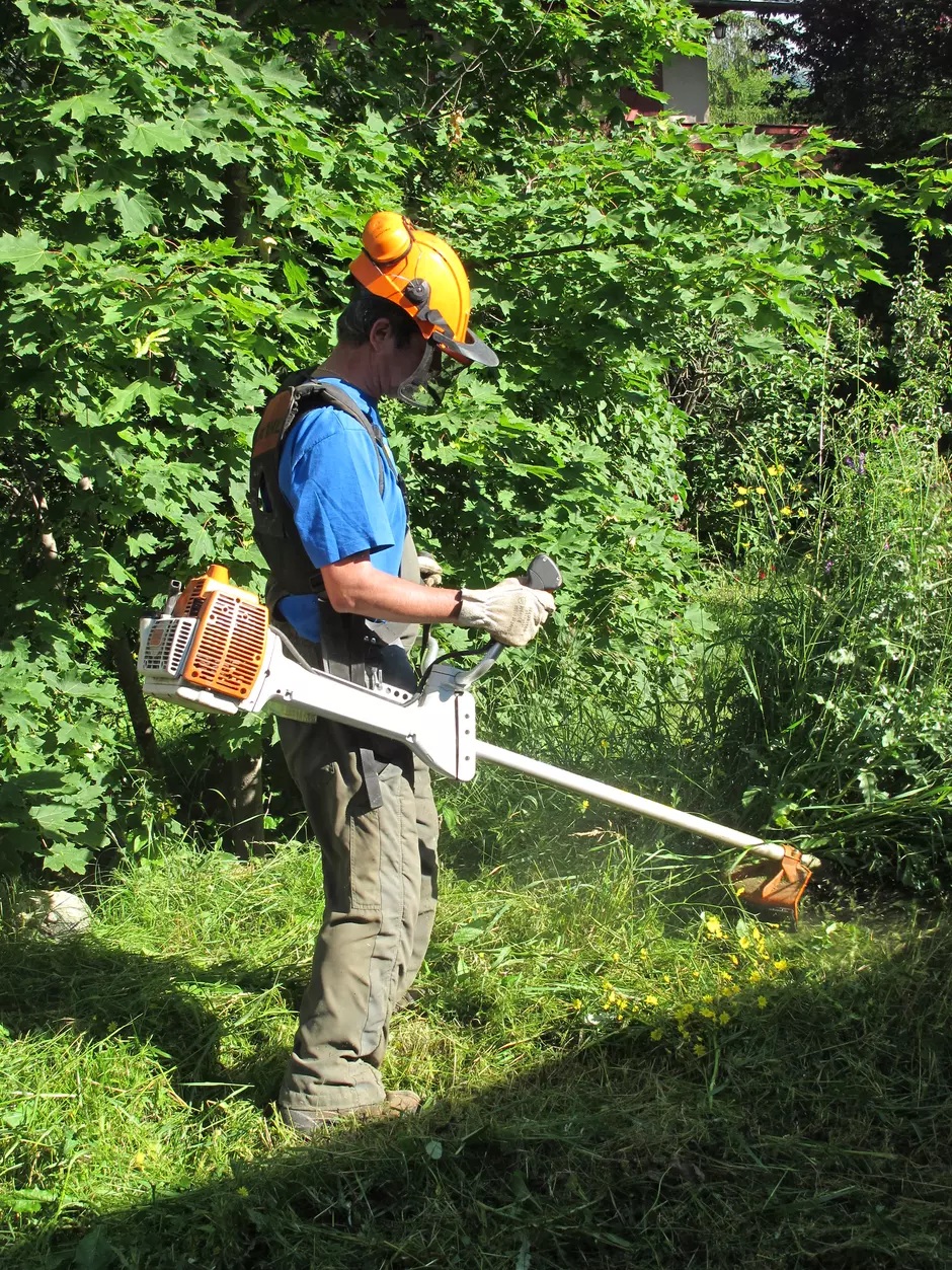 Les environneurs se développent au service de l'insertion 9879,raw,Debroussaillage.jpg