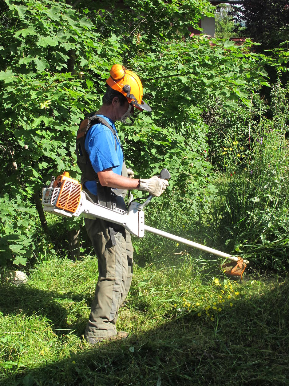 Les environneurs se développent au service de l'insertion 9879,raw,Debroussaillage.jpg