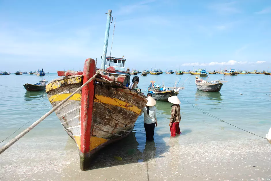 Projet de préservation des écosystèmes pour la baie d'Halong 9904,raw,technopole-brest-iroise-_20_.JPG
