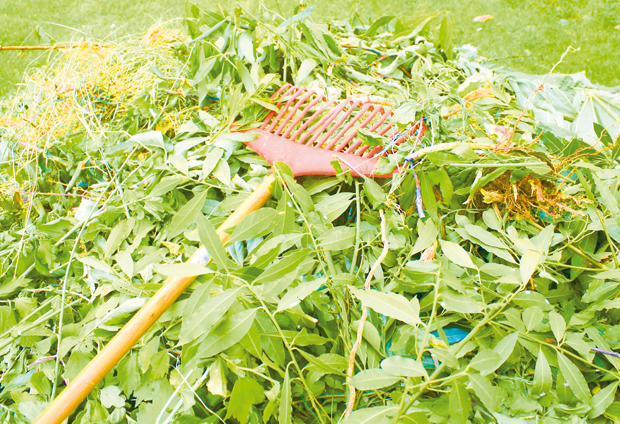 Nicea Eco Compost