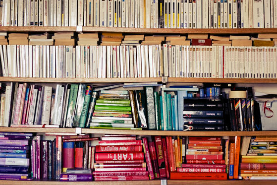 Accès à la culture pour tous ! Bibliothèques sans Frontières