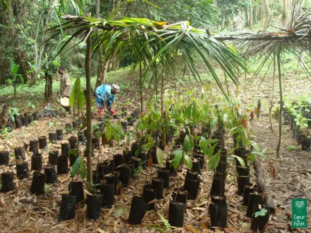 Au secours des Moabis