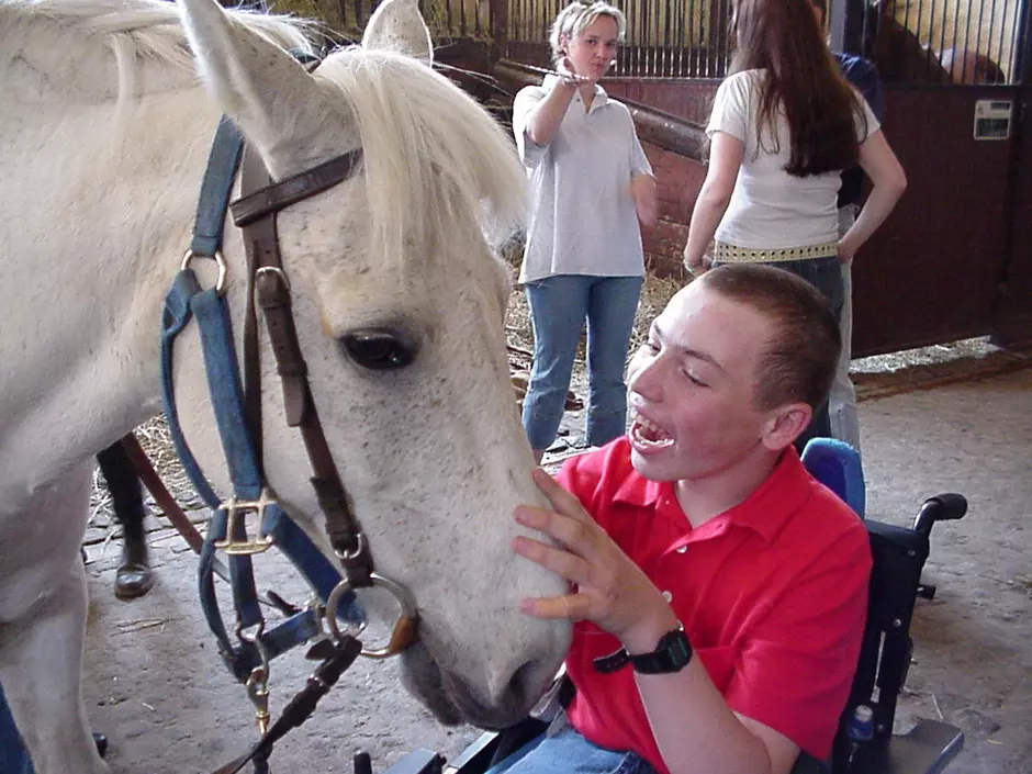 Le cheval pour se remettre en selle
