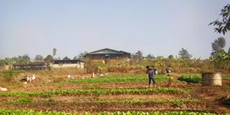 Développer l’agriculture chez les Karens