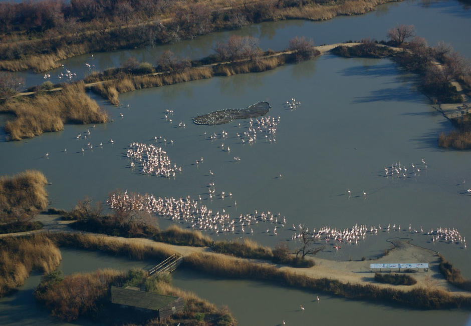 Les Amis du Parc de Pont de Gau