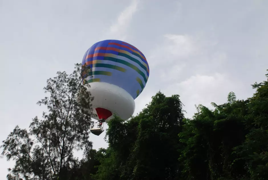 Arboglisseur