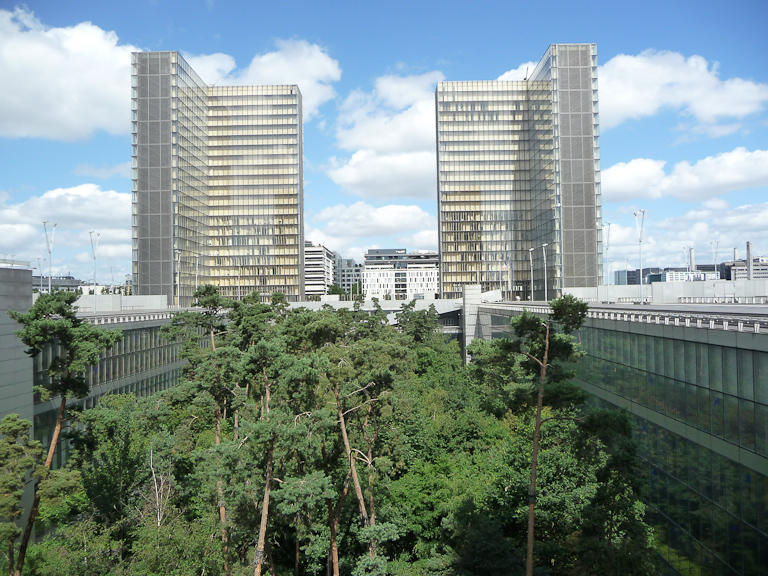 Forêt BNF