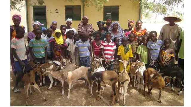 Jappoo Sénégal