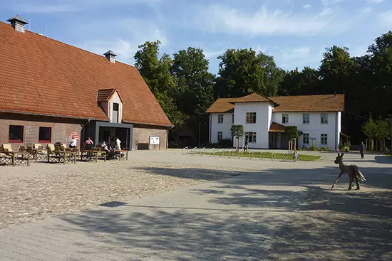 Hamburger Klimaschutzstiftung