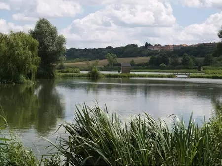 La Gaule Boulinéenne