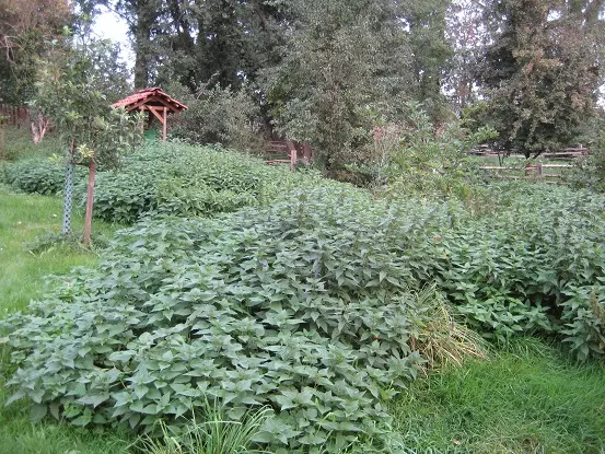 Förderkreis Umwelt und Naturschutz Hondelage