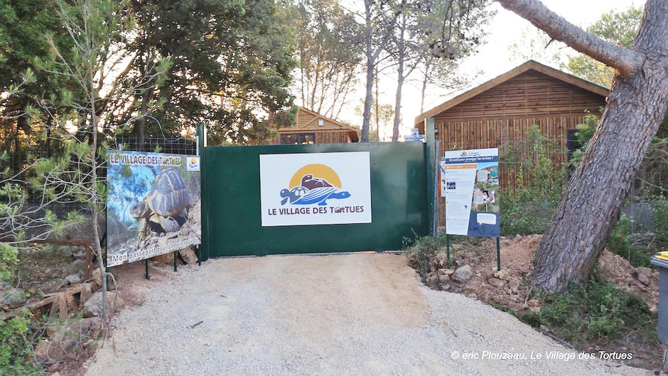 Le village des tortues