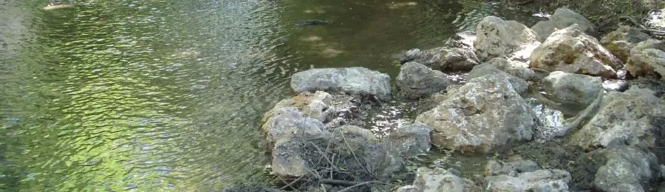 Fédération du Var pour la pêche et la protection du milieu aquatique
