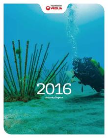 Activity Report 2016