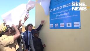 Une écloserie inaugurée à Mbodiène pour faire de l’aquaculture une filière d’avenir